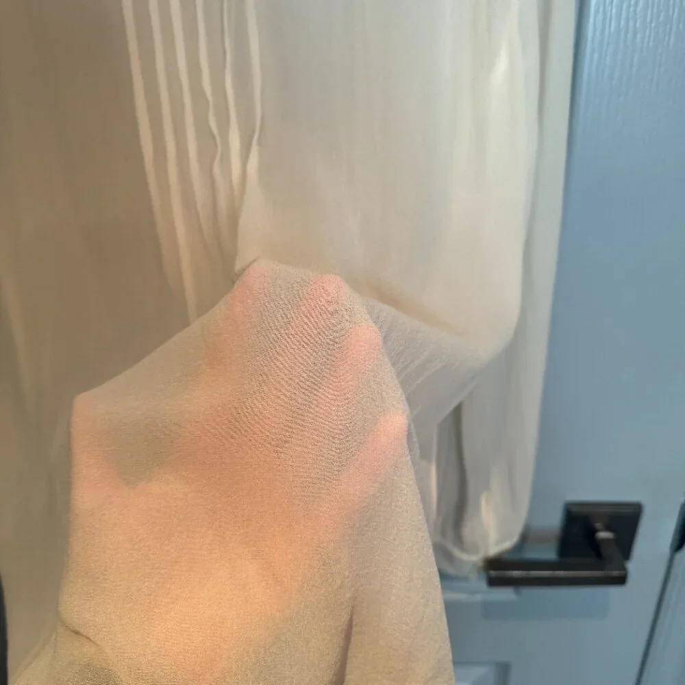 Joie 100% Silk Blouse Sz Medium Cream Chiffon Pintuck Pleated Sheer Gauze Crepe - Picture 12 of 15